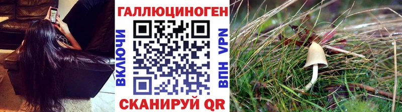 Галлюциногенные грибы GOLDEN TEACHER  Купить где  Нерюнгри 